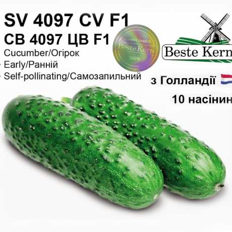 Голландские семена огурца СВ 4097 ЦВ F1 (ТМ Beste Kern 10шт)