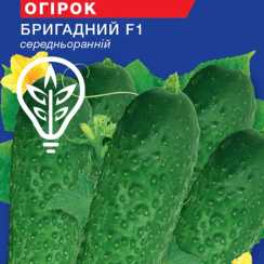 Насіння огiрка Бригадний F1 (Hobby, TM GL Seeds) (0.5г)
