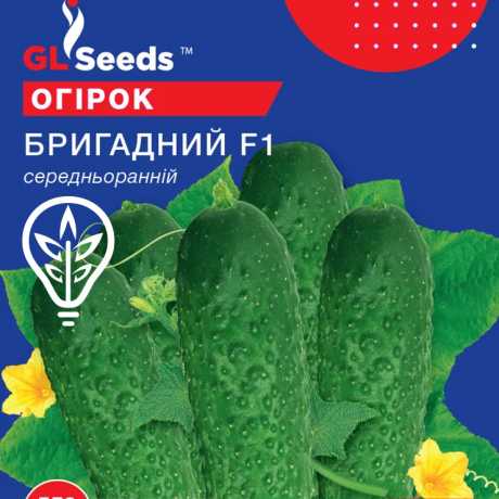Насіння огiрка Бригадний F1 (Professional, TM GL Seeds) (5г)