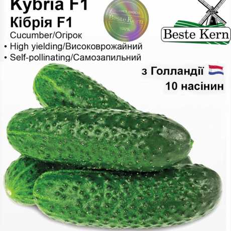Голландские семена огурца Кибрия F1 (ТМ Beste Kern 10шт)