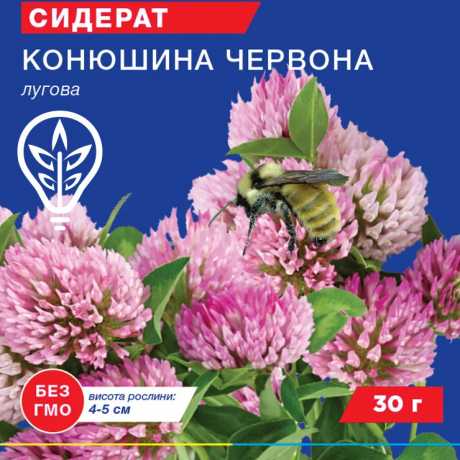 Семена клевера красного (Professional, TM GL Seeds) (30г)