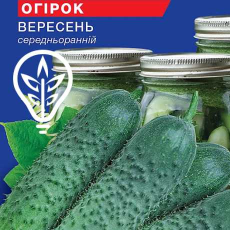 Насіння огірка Вересень (Hobby, TM GL Seeds) (0.5г)